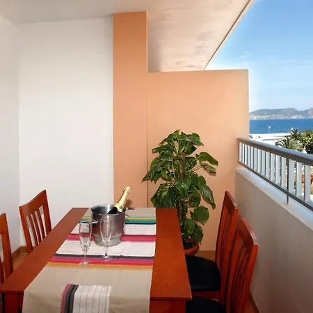 Typic Sandic Apartment *