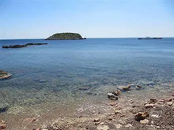 Typic Sandic Santa Eularia des Riu